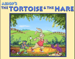 tortoise hare